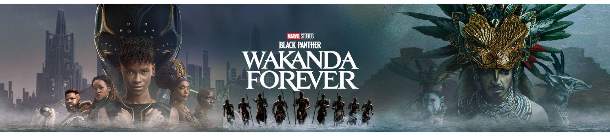 BLACK PANTHER Wakanda Forever (Banner Superior)